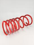 Abarth 500 Springs. Part Number 51939102
