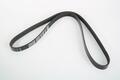 Alfa Romeo Punto Auxiliary Belt. Part Number 55232450