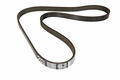 Alfa Romeo Punto Auxiliary Belt. Part Number 55232450